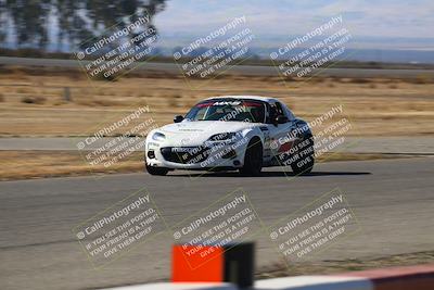 media/Nov-16-2024-CalClub SCCA (Sat) [[641f3b2761]]/Group 4/Grid and Front Straight/